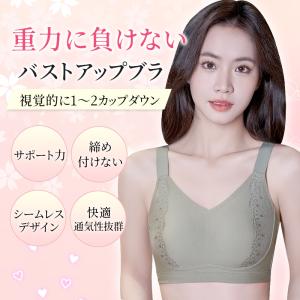 VEIMIA 胸が小さく見せるブラ 小さく見せ...の詳細画像1
