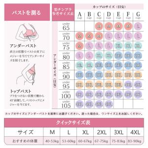 VEIMIA 胸が小さく見せるブラ 小さく見せ...の詳細画像1