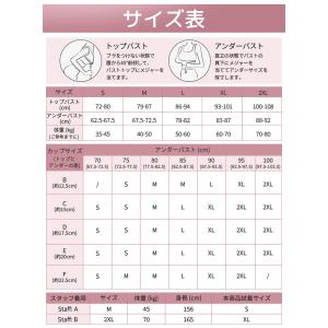 新作限定20%OFF|VEIMIA 和装ブラ ...の詳細画像1