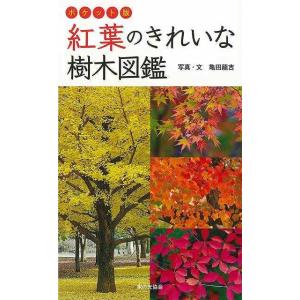 紅葉のきれいな樹木図鑑　ポケット版｜theoutletbookshop