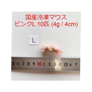 まとめ買いクーポン 国産 冷凍マウス ピンクマウスL 10匹 冷凍餌 ~ 4g / 4cm｜thepern