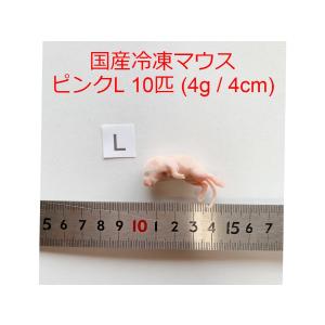国産 冷凍マウス ファジー 10匹 6g 5cm ショップザ・パーン