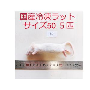 国産冷凍ラット各種 爬虫類のエサ 国産冷凍ラット 60g 70g 10匹 個包装 - メルカリ