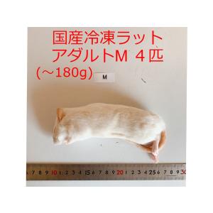 ☆キャッツ☆国産 冷凍マウス　リクエスト品 Amazon | 国産冷凍ラット (アダルトSS ～110g 5匹入り) | 冷凍