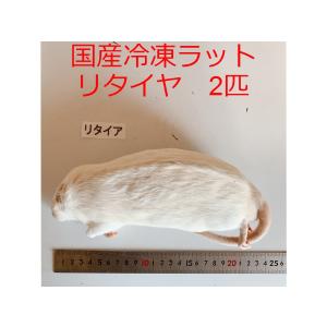 国産 冷凍ラット サイズ60 5匹 冷凍餌 : ショップザ・パーン - 通販
