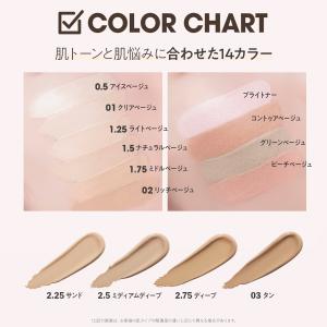 【選べる1+1+1 3本セット】ザセム チップ...の詳細画像5