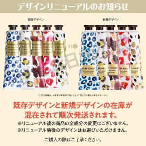 【 今なら10%オフ+送料無料 】 ザ セム ...の詳細画像1