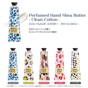 【 今なら10%オフ+送料無料 】 ザ セム ...の詳細画像4