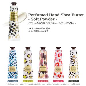 【 今なら10%オフ+送料無料 】 ザ セム ...の詳細画像5
