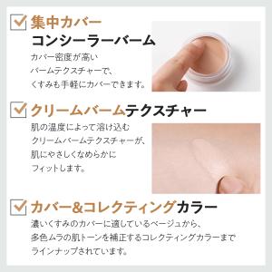 【今なら10%オフ+送料無料】ザセム カバーパ...の詳細画像2