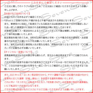 セール実施中 ボディピアス 軟骨 14G 16...の詳細画像4