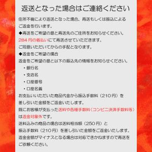 セール実施中 ボディピアス 軟骨 14G 16...の詳細画像5
