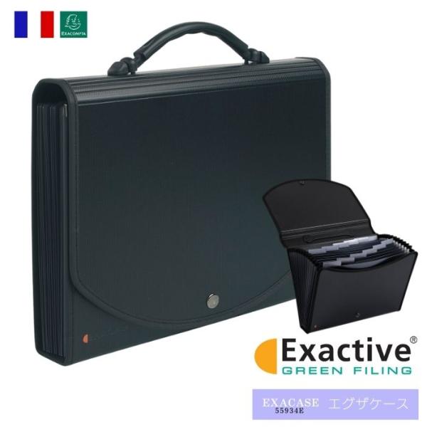 EXACOMPTA エグザコンタ エグザケース 書類入れ A4 13分割 33×25×6cm エグザ...