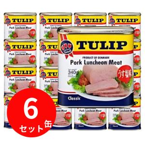 チューリップ ポークランチョンミート ( 200g )/ 缶詰 ) : 爽快