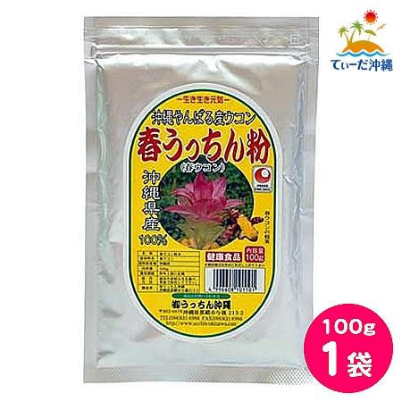 うっちん沖縄 春ウコン粉末 春ウコン粉 100g 1袋