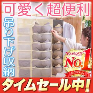 吊り下げ収納 ウォールポケット クローゼット スリム おしゃれ 透明 両面収納  省スペース 大容量 湿気カビ防止 水洗いOK 下着 衣類 靴下 帽子 Tシャツ パンツ