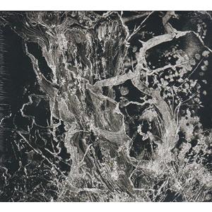 BRUIT ?/Monolith (2018/EP) (ブリュイ?/France)