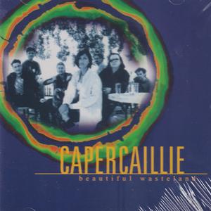 CAPERCAILLIE/Beautiful Wasteland (1997/11th) (カパケー...