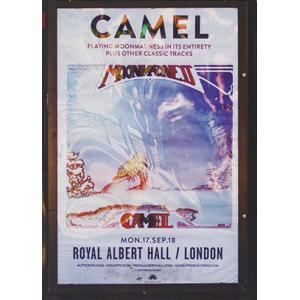 CAMEL/Live At The Royal Albert Hall(DVD) (2018/Liv...