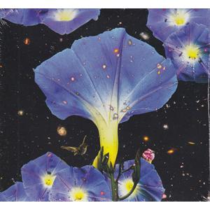 SARAH LOUISE/Nighttime Birds And Morning Stars (20...