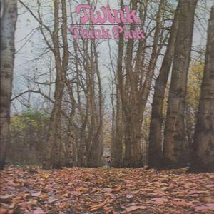 TWINK/Think Pink(2CD) (1970/1st) (トゥインク/UK)