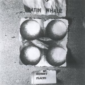 SATIN WHALE/Desert Places (1974/1st) (サテン・ホエール/Ger...