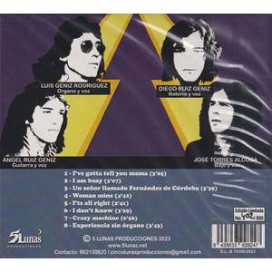 THE STORM/Same (1974/1s...の詳細画像1