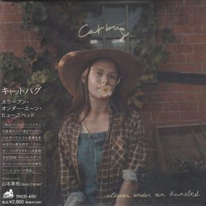 CATBUG/slapen onder een hunebed(スラープン・オンダー・エーン・ヒュー...