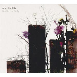 BIRD IN THE BELLY/After In The Belly (2022/3rd) (バ...