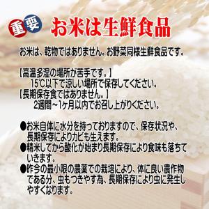 無洗米 10kg 米10kg お米 たべごろ無...の詳細画像1