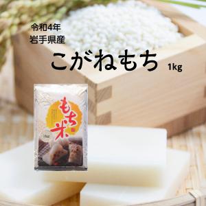 もち米 米 1kg お米  令和4年 岩手県産こがねもち 餅  ポスト投函