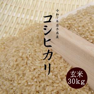 ひとめぼれ 米 玄米 30kg 岩手県産ひとめぼれ 令和7年産 ご飯 コメ 