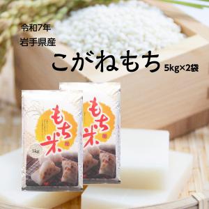 信州産　餅米五キロ 信州産 餅米五キロ 【公式通販】