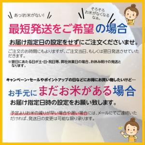 無洗米 5kg 米 お米 新 たべごろ無洗米 ...の詳細画像1
