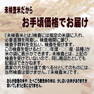 無洗米 5kg 米 お米 新 たべごろ無洗米 ...の詳細画像2
