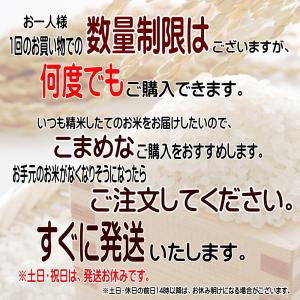無洗米 5kg 米 お米 新 たべごろ無洗米 ...の詳細画像4