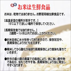 米 10kg お米 白米 岩手の米屋自慢の米 ...の詳細画像3