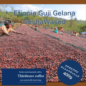 エチオピア グジ・ゲレナ　ゲイシャ Ｇ1（ウォッシュド)400g