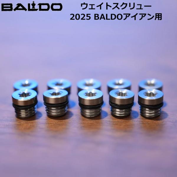 BALDO バルド チューニング用ウェイト 2025 BALDO TTアイアン専用 1.5g/2.5...