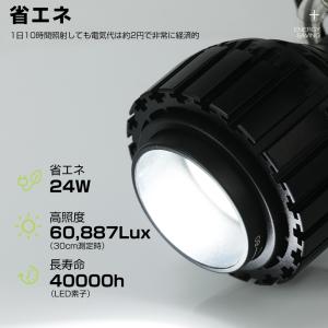 植物育成ライト LED ビーム角調整可能 電球...の詳細画像3