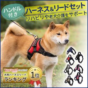犬 ハーネス リードセット おしゃれ 小型犬 脱げない