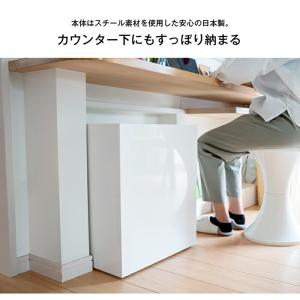 kakusu 隠しキャスター付き ダストボック...の詳細画像5