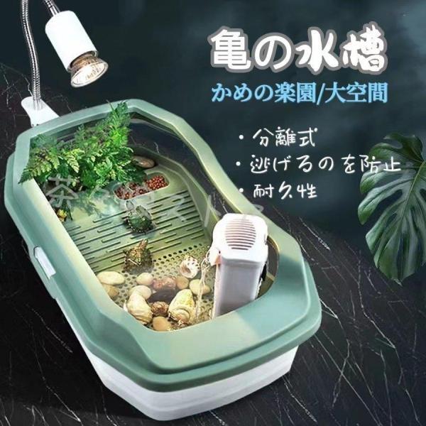 亀水槽 両生類 飼育ケース 飼育ボックス 排水孔 飼育水槽 カメ生息地 分離式 エサ皿 脱出防止フェ...