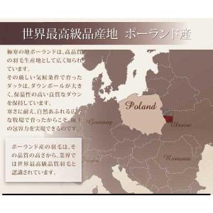 8点セット シングル シングル ロイヤルゴールドラベル 布団 寝具 羽毛布団セット 羽毛布団セット アマンディ