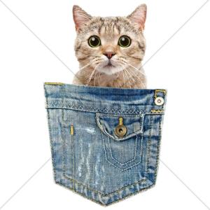 Tシャツ レディース 半袖 トップス 男女兼用...の詳細画像4