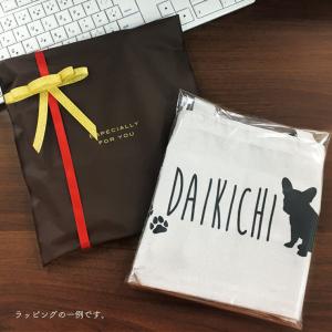 プレゼント用 ラッピングギフト ミニバッグ・ス...の詳細画像1
