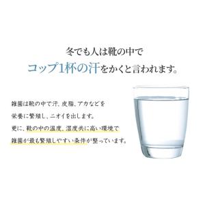【 歩くだけで除菌&消臭!】足 靴の臭い 靴の...の詳細画像3