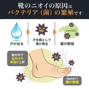 脇の臭い 汗 匂い 脇の匂い対策 足の臭い消し...の詳細画像4
