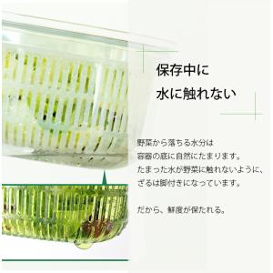 【便利グッズ】ザル付き保存容器 ベジマジシリー...の詳細画像5