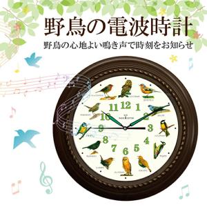 6ヵ月保証 野鳥の電波時計 電波時計 壁掛け 静音 アナログ かわいい おしゃれ アンティーク レトロ 電池式 説明書付｜three-peace